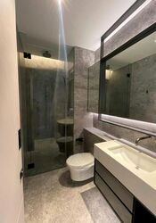 Cuscaden Reserve (D10), Condominium #595739901
